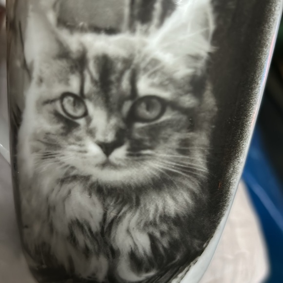 Cat mug- tabby long hair black and white picture - Picture 3 of 3